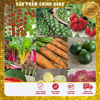 COMBO 10 Loại hạt giống rau hạt giống củ dễ trồng và dễ thương