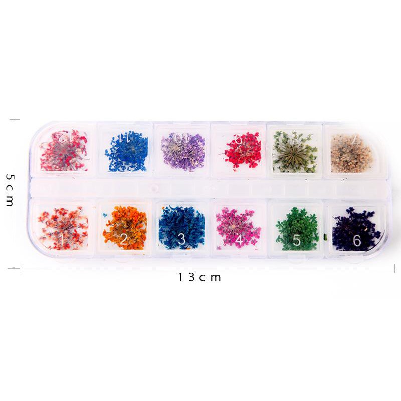 Khay 12 loai Hoa khô trang trí móng 3D - Hoa Mini - Hoa mini