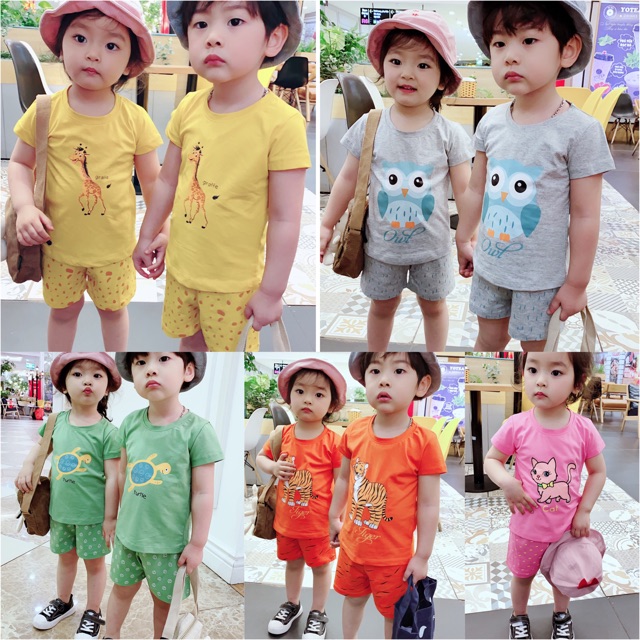 Bộ cotton hình thú