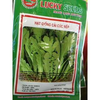 Hạt giống rau cải cúc nếp
