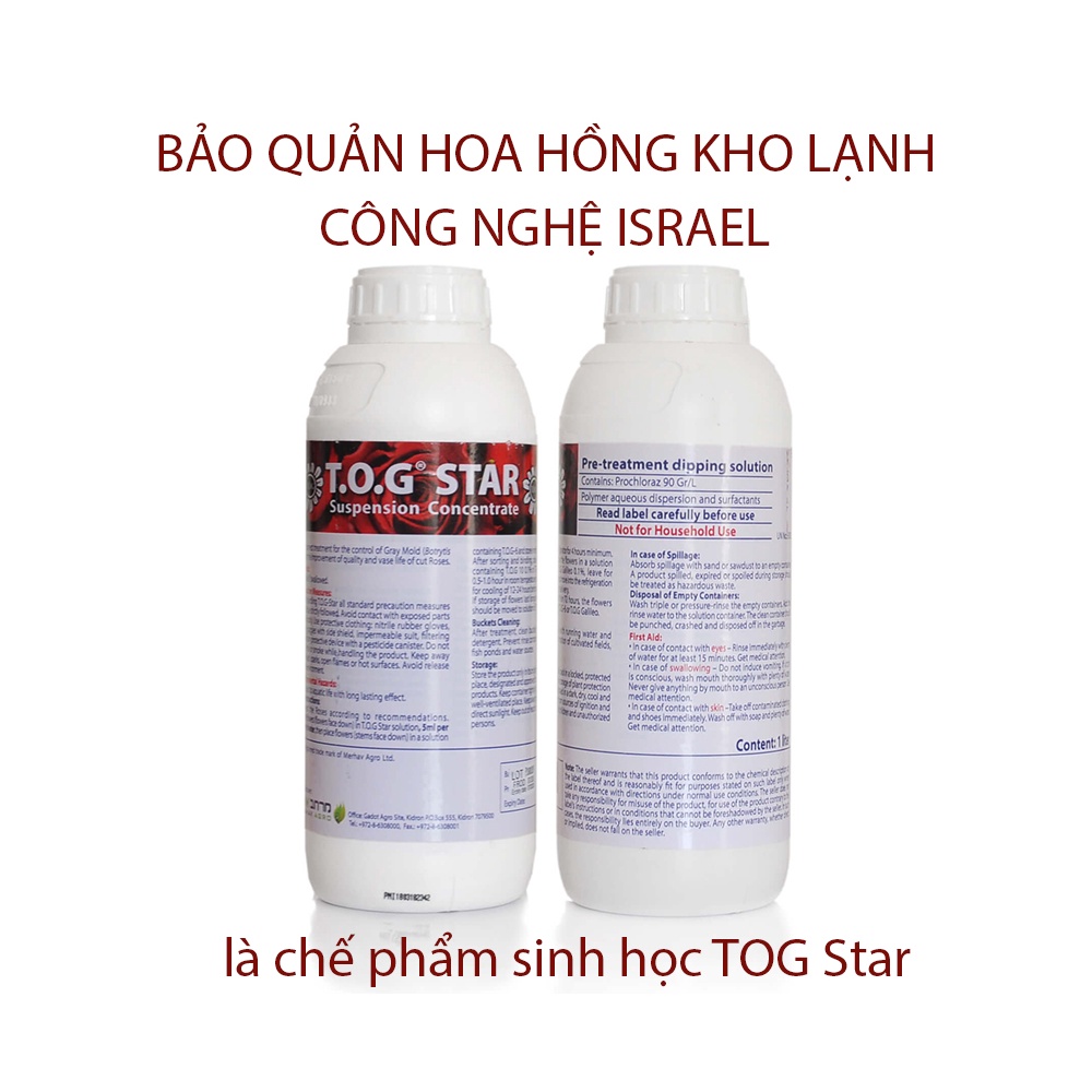 TOG Star theo công nghệ Israel (Chai 1L pha 800L nước) giúp hoa hồng tươi lâu, hạn chế boyties và kiềm hoa hồng không nở