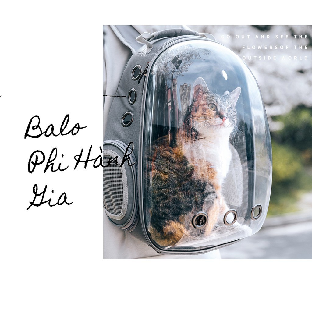 Balo Đựng Chó Mèo - Trong Suốt, Hình thức đẹp - Tiện lợi để đưa các bé đi chơi, du lịch cùng bạn 1 cách thoải mái
