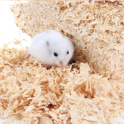 Mùn cưa lót chuồng cho thú cưng nhỏ - Versele-laga Natural Wood,Woodchips - 1KG