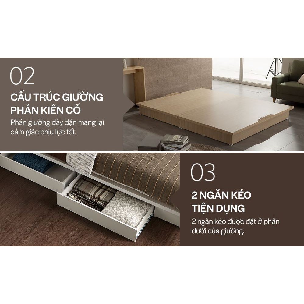 DB008A - GIƯỜNG GỖ HIỆN ĐẠI CÓ NGĂN KÉO - Dongsuh Furniture - Nội Thất Cao Cấp Hiện Đại Giá Rẻ