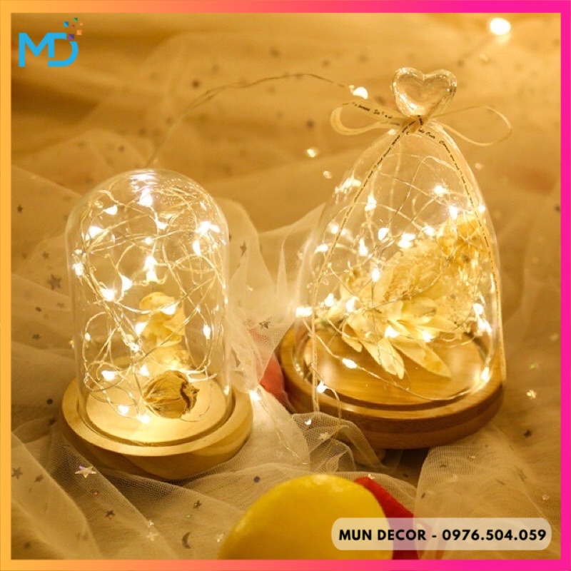 Đèn Led 2 Pin Fairylight Không Nháy Trang Trí Decor