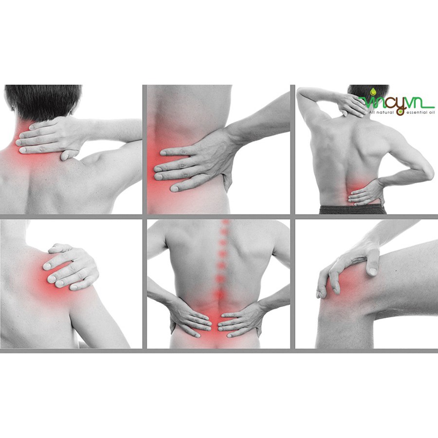 Tinh Dầu Pơ-Mu Thiên Nhiên đánh bóng đồ gỗ, xua đuổi côn trùng Fokienia Essential Oil AloAroma