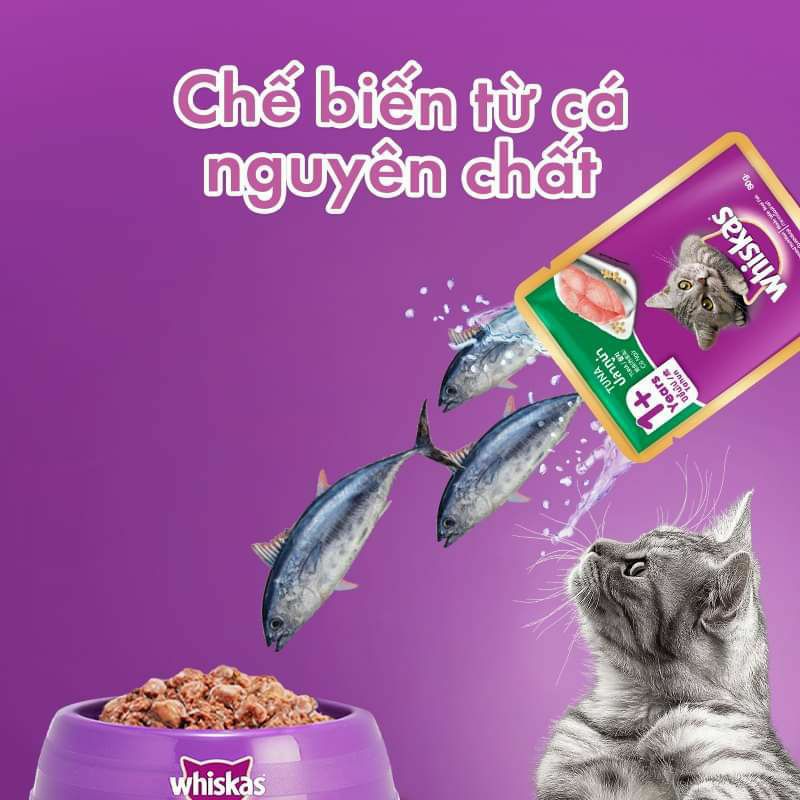 Pate Cho Mèo Lớn, Pate cho mèo con,  Whiskas1+ Whiskas junior  túi 80g vị Cá Ngừ, Thu, Biển, Saba, Gà, White fish