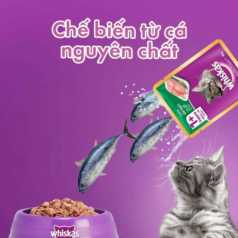 Pate Cho Mèo Lớn, Pate cho mèo con,  Whiskas1+ Whiskas junior  túi 80g vị Cá Ngừ, Cá Thu, Cá Biển.