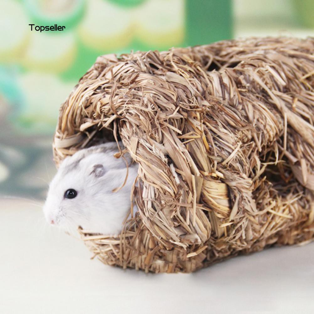 Lồng cỏ kích thước 19cm x 9.5cm x 9.5cm để trang trí chuồng nuôi chuột Hamster