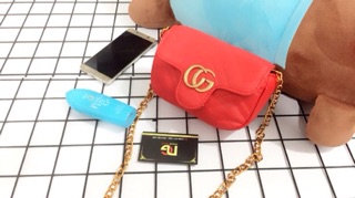 [ FREESHIP TOÀN QUỐC ] Túi Đeo Chéo Nữ GC Size Nhỏ 18Cm