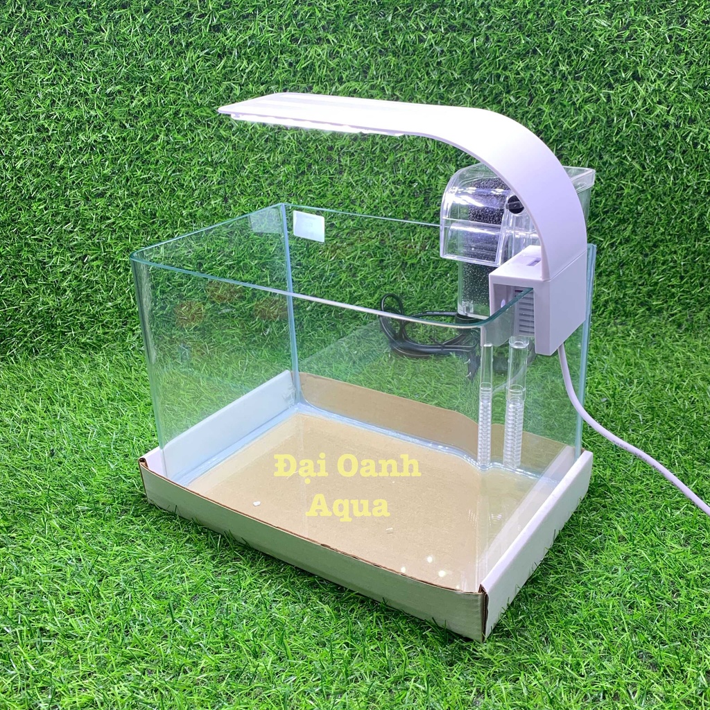 Bộ Bể Cá Kính Đúc Mini 25cm Kèm Đèn Lọc Để Bàn, Dài 25cm Rộng 16cm Cao 18cm - Bể Cá Mini