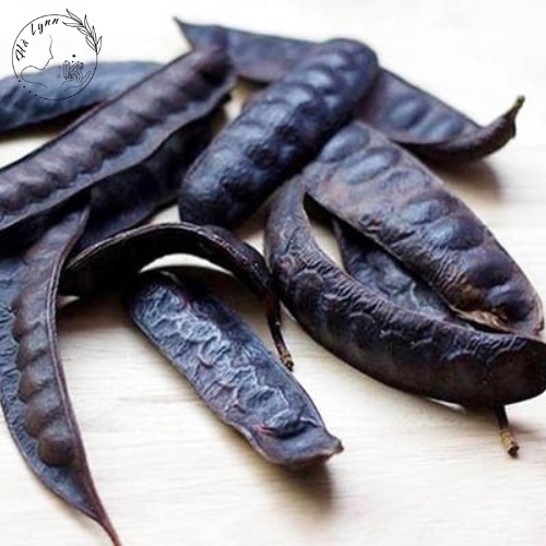 Bồ kết trái khô 20g-100g