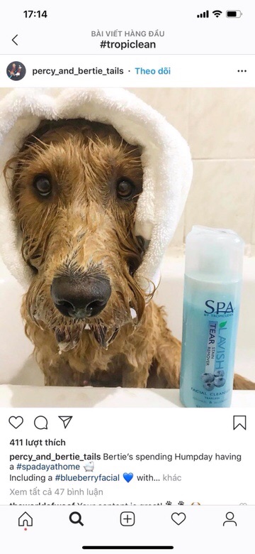 Rửa mặt trị ố cho chó mèo TropiClean