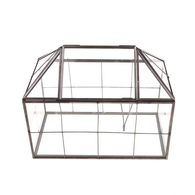 Hộp kính trong suốt hình học dùng trồng cây trang sức tiện dụng