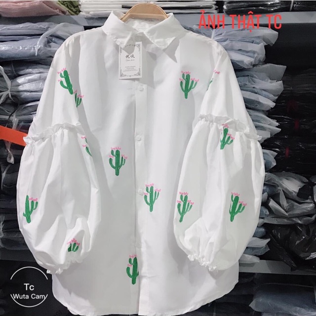 Áo sơmi xương rồng