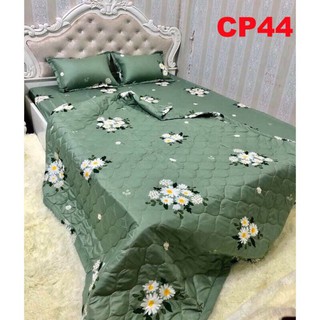 Set 5 món Vỏ Chăn Ga Gối Poly Cotton