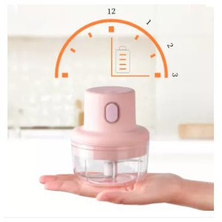 Máy xay tỏi ớt thịt mini