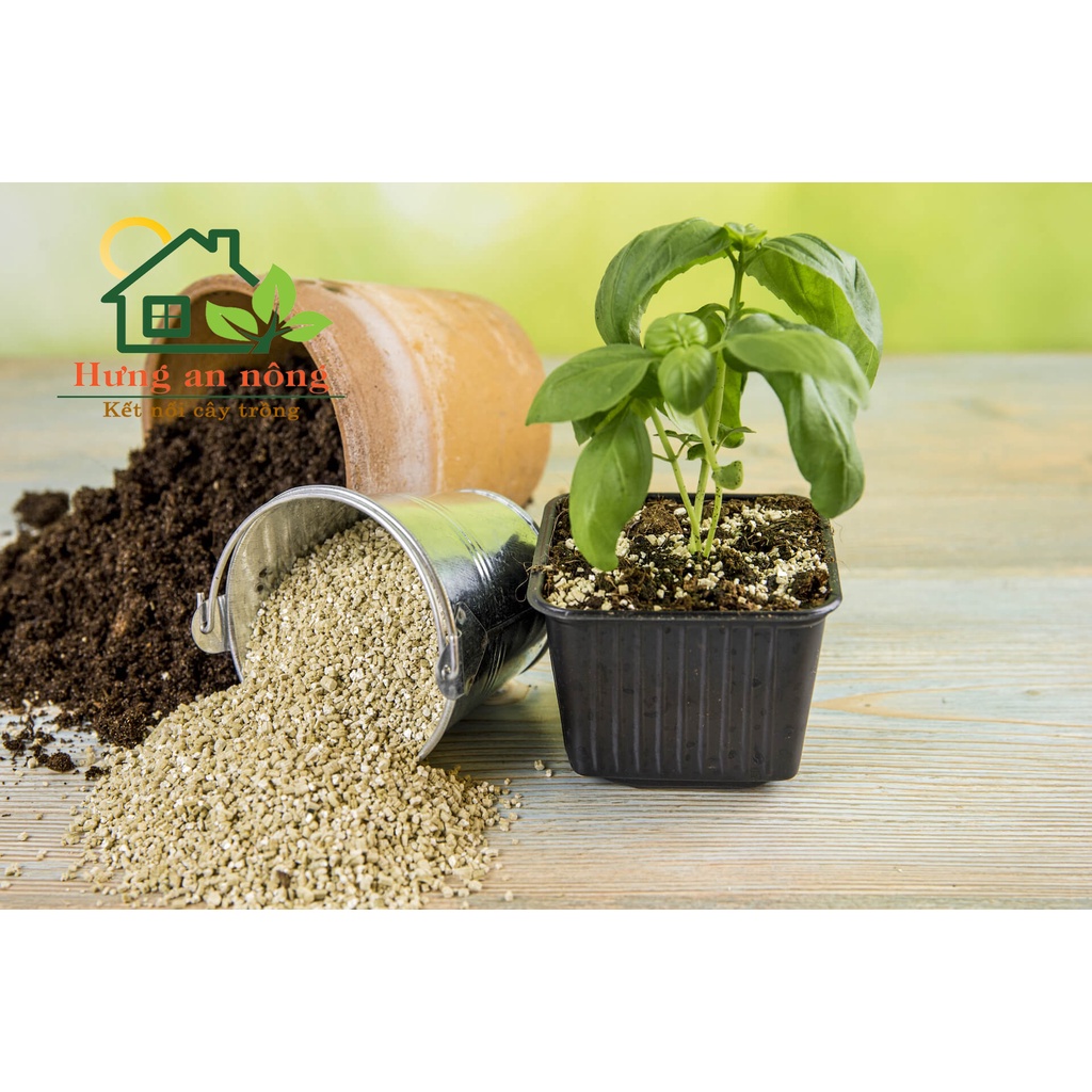 VERMICUITE -  giá thể ươm trồng rau mầm, trộn các loại giá thể khác