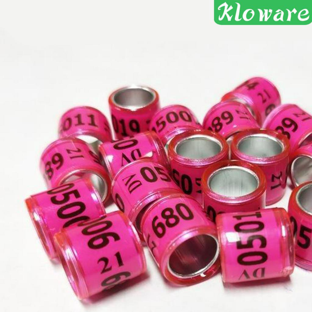 Set 100 Vòng Nhôm 2021 Gắn Chân Chim Bồ Câu Tiện Dụng