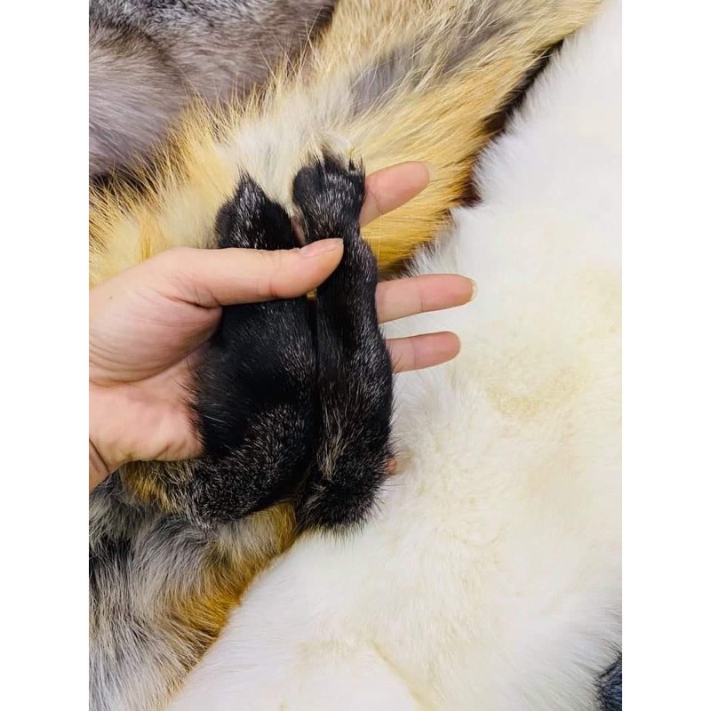 Khăn chồn lông thật