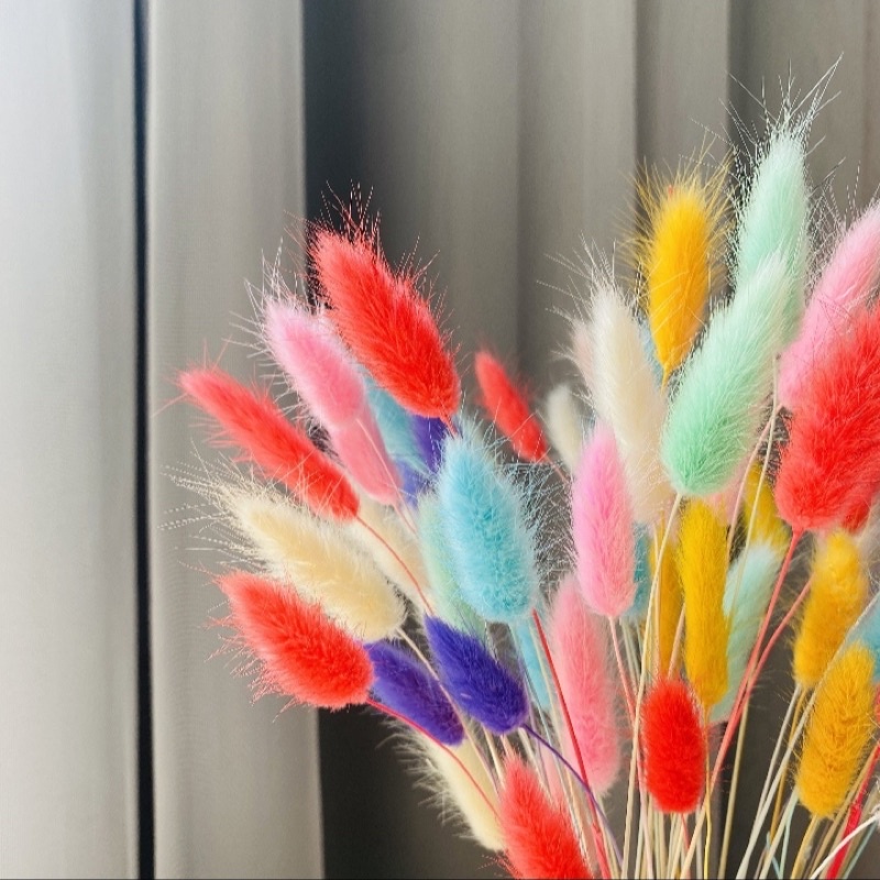 5 hoa đuôi thỏ decor giá mềm- có nhiều màu dùng decor trang trí