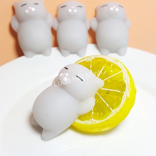 zSquishy Mochi Mèo Xámt