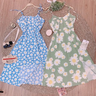 Đầm 2 dây hoa cúc cúp ngực