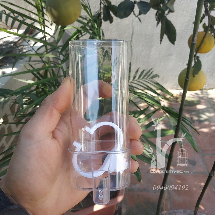 Cóng đựng thức ăn, nước uống cho chim cảnh