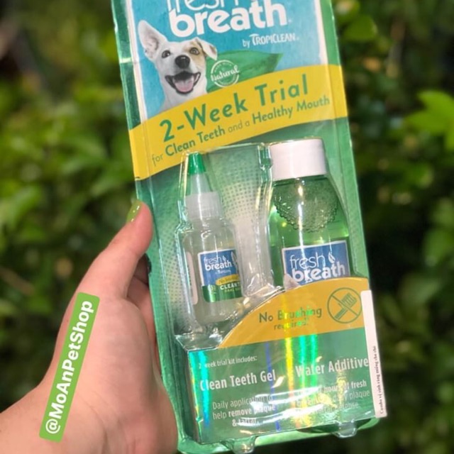 Tropiclean gel và dung dịch vệ sinh răng miệng, giảm cao răng, mùi hôi trong 2 tuần Trial 2 weeks