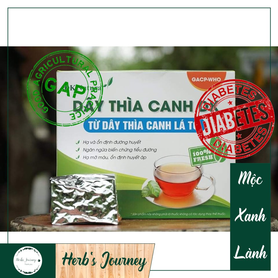 [𝐋𝐀́ 𝐓𝐎/𝐆𝐀𝐂𝐏-𝐖𝐇𝐎] Dây thìa canh lá to - 𝐇𝐨̣̂𝐩 𝟏𝟓 𝐭𝐮́𝐢 - 100% dây thìa canh lá to - Ổn định đường huyết - DK Natur