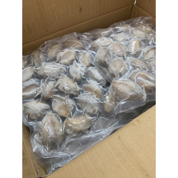 BÀO NGƯ SIZE 18-20 CON 1KG