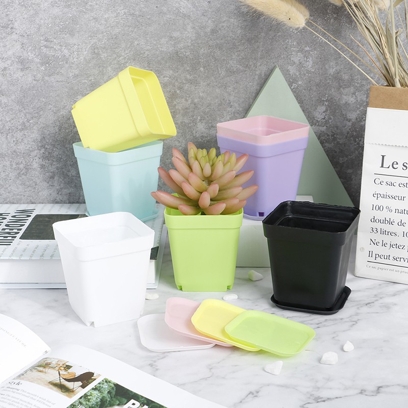 Set 5 Chậu Hoa Mini Bằng Nhựa Dùng Để Trang Trí