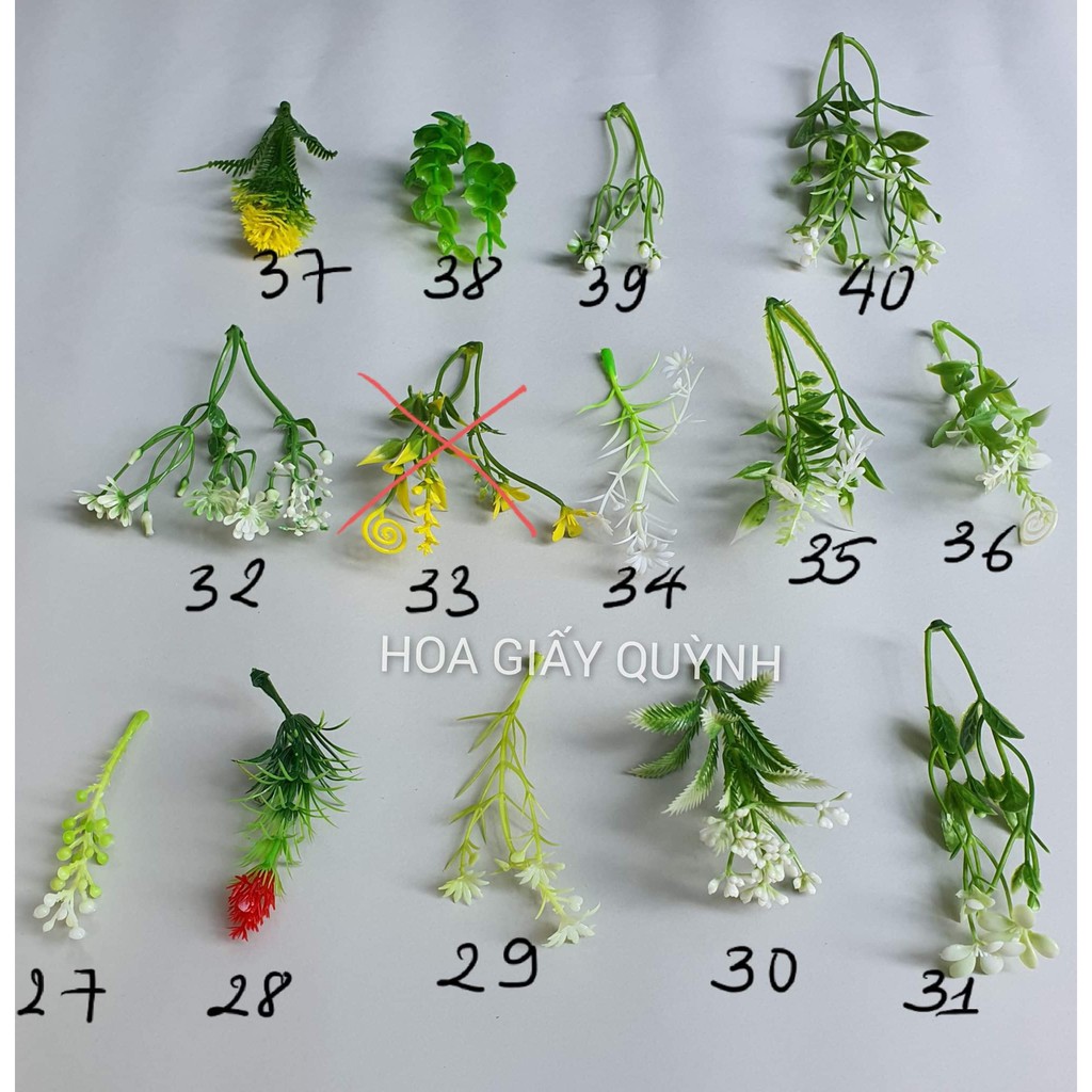 1 lạng cỏ điểm (được mix 2 mẫu)