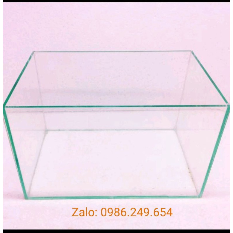 Bể cá Mini