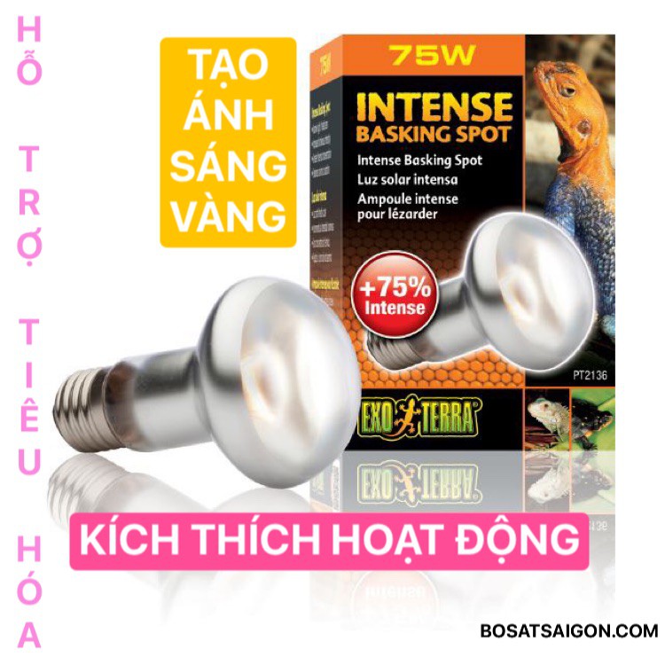 ĐÈN SƯỞI UVA CHO BÒ SÁT KÍCH THÍCH HOẠT ĐỘNG, SINH SẢN, HẤP THỤ CHẤT DINH DƯỠNG [ 75W - 100W - 150W ] CHÍNH HÃNG EXO