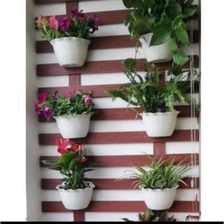 Sét 10 chậu ốp tường giá sỉ