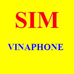 Sim mạng vina đầu 09, đầu cổ