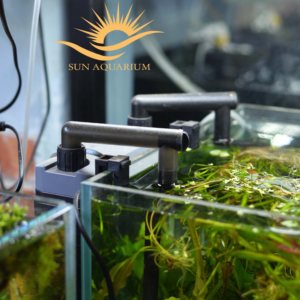 Lọc Treo Sunsun HBL 801/802/803 Cho Hồ Cá, Bể Thủy Sinh - SUN AQUARIUM