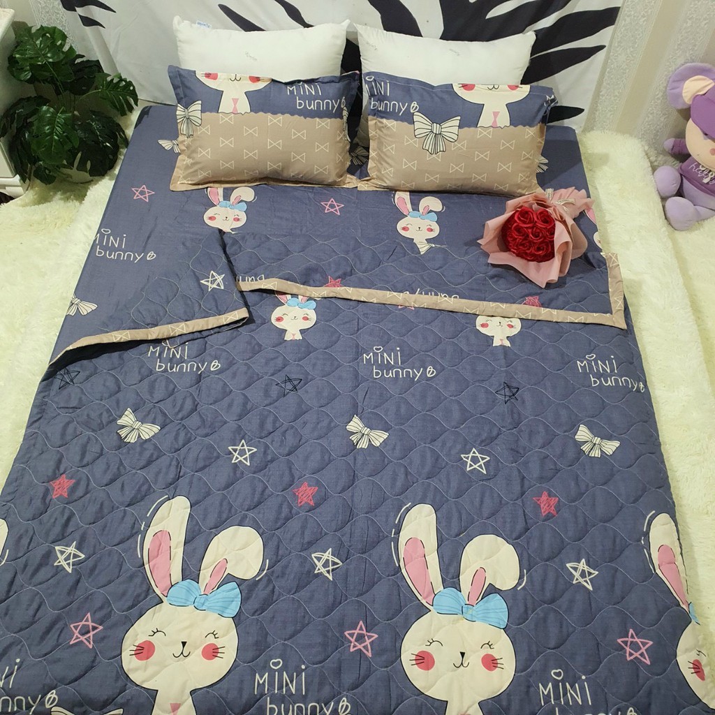 SET 4 CHĂN HÈ TRẦN BÔNG KÈM GA GỐI POLY COTTON MẪU THỎ BUNNY