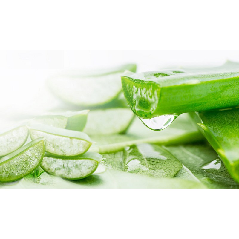 Son Dưỡng Môi Nha Đam Aloe Vera 99% Chính Hãng Môi Hồng Căng Mộng Chuẩn Hotgir - Son Gió Có Màu