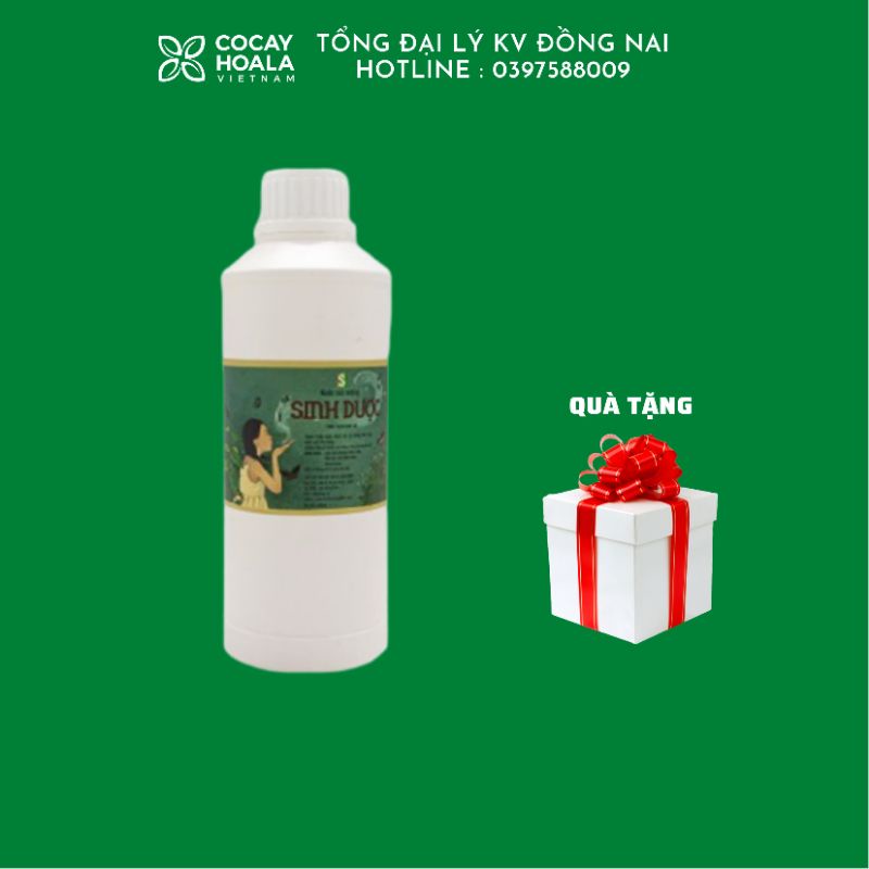 Nước súc miệng trầu không- nước súc miệng thảo dược thơm miệng chắc răng, ngừa sâu răng ,loại bỏ vi khuẩn tạo mùi hôi