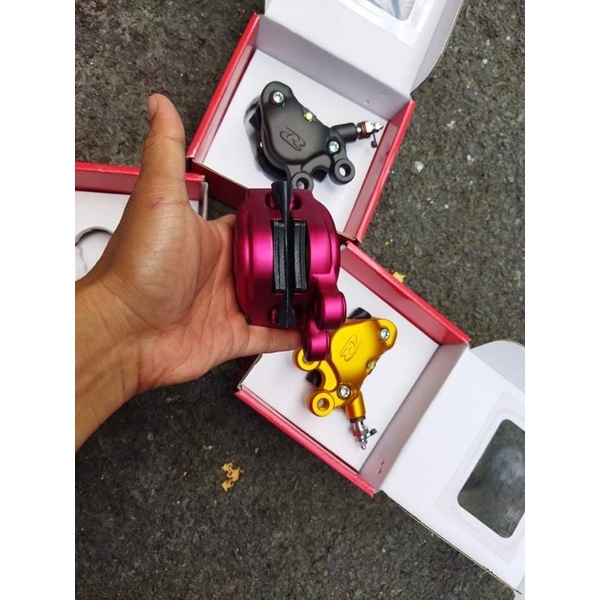 Heo Racing boy trái tim