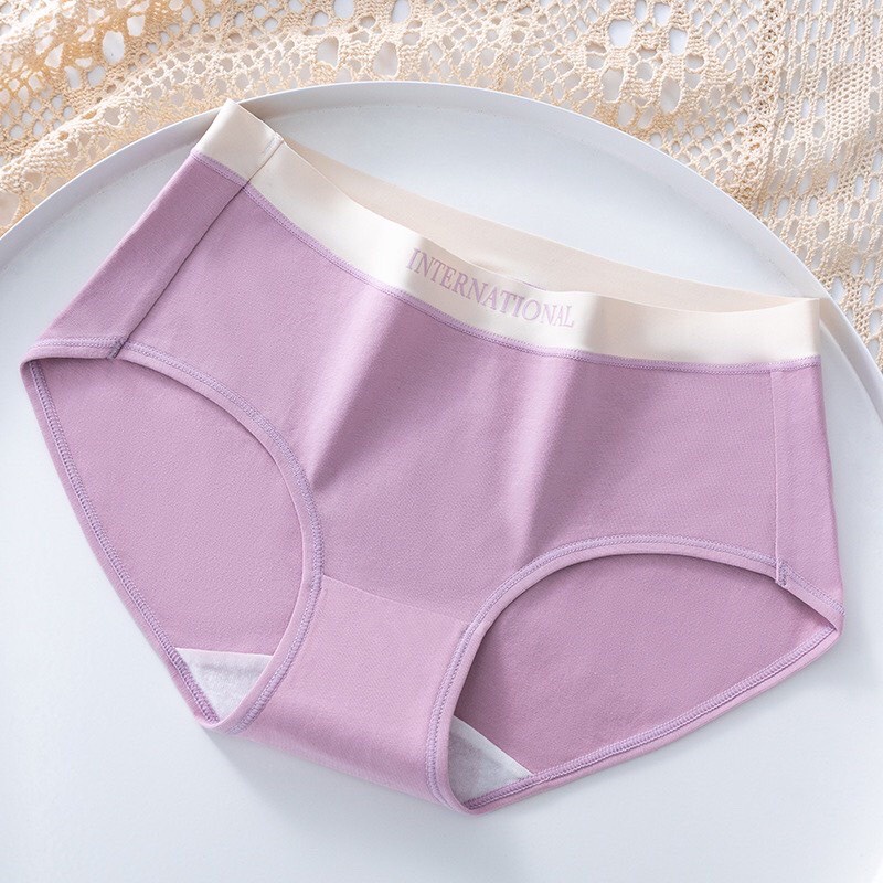 Quần Lót Nữ Cotton Cạp Su Chữ Kháng Khuẩn Cao Cấp 8858