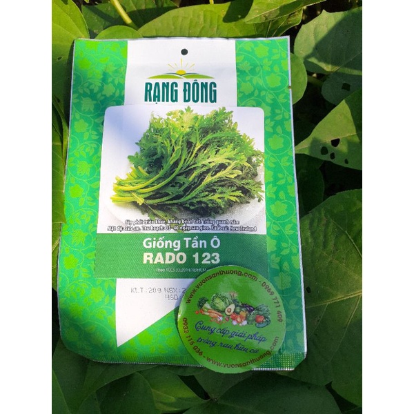 [Rạng Đông] Hạt giống Tần Ô Rado 123 Rạng Đông (20gr) Dễ Trồng, Kháng Bệnh Tốt