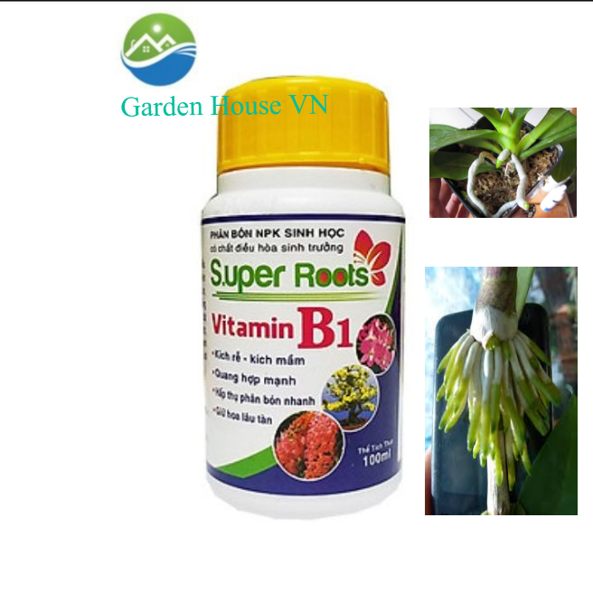 Phân Bón NPK Sinh Học Supper Roots Vitamin B1 (kích rễ, kích mần, giữ hoa lâu tàn...)
