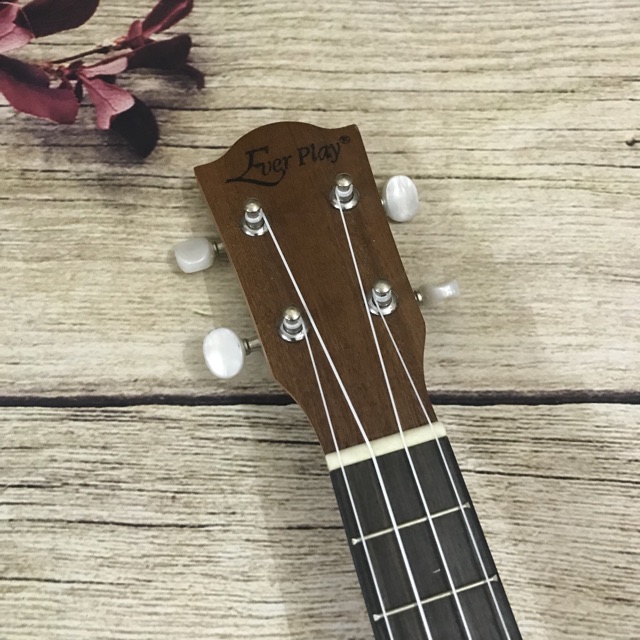 (ĐỘC) ĐÀN UKULELE CONCERT BẦU DỤC