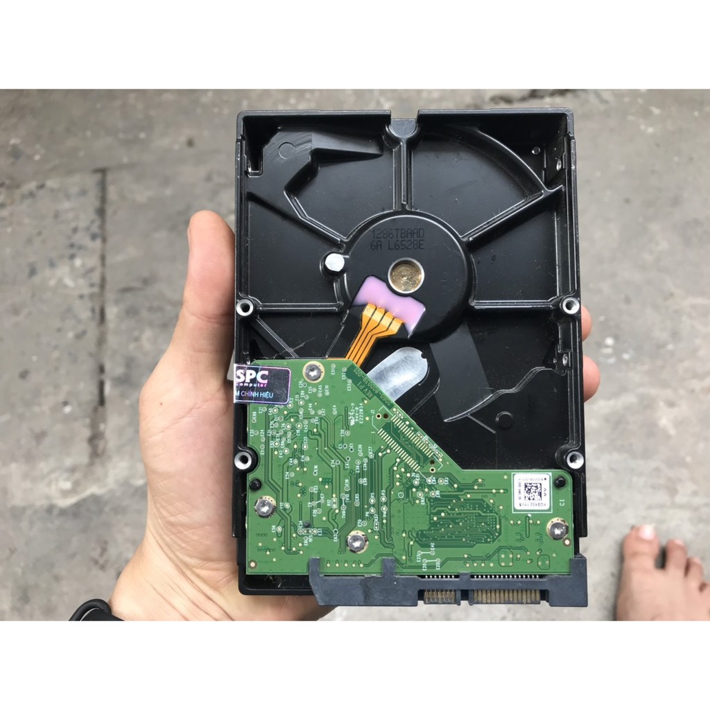 ổ cứng cho PC máy tính bàn wd blue (nhãn black) 1TB 7200RPM sata 3 6 GB/s 3.5 &quot; inch hdd 100% Good