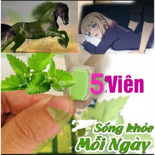 Ngựa Bạc Hà 5 Viên(Che tên khi gia)