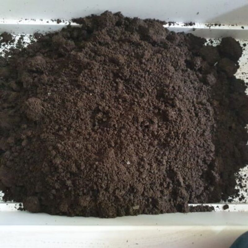[Nhà Nuôi] 1Kg Phân Trùn Quế Tươi Có Trứng Trùn Bón Cây Cảnh, Hoa Hồng, Rau, Củ Quả(Sỉ Lẻ )