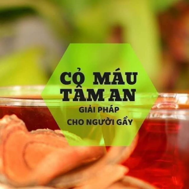 Cỏ máu Tâm An địa chỉ: Mỹ Đức, Sơn Thủy, Lệ Thủy, Quảng Bình